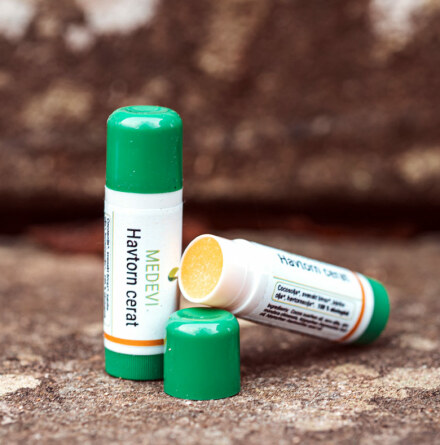 Medevi Cerat Havtorn 