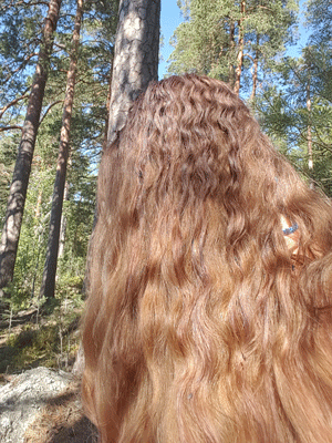 Blåbärsmask i håret