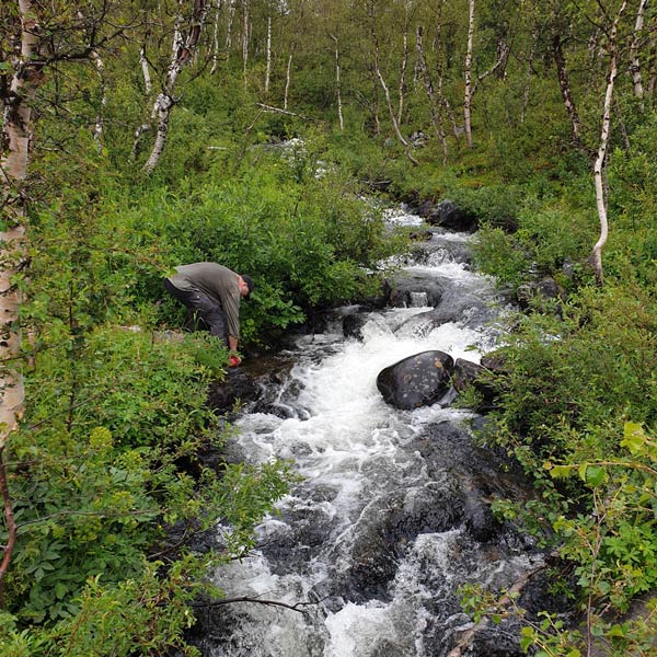 Brusande fjällbäck Kebnekaise