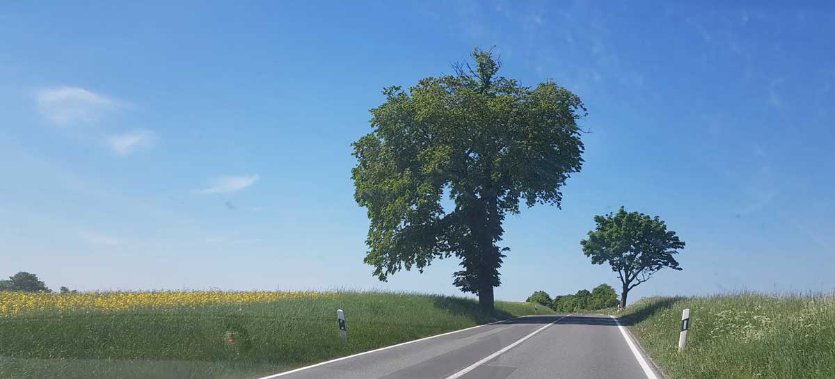 Vackra Rugen, på väg mot Mecklenburger seen Runde